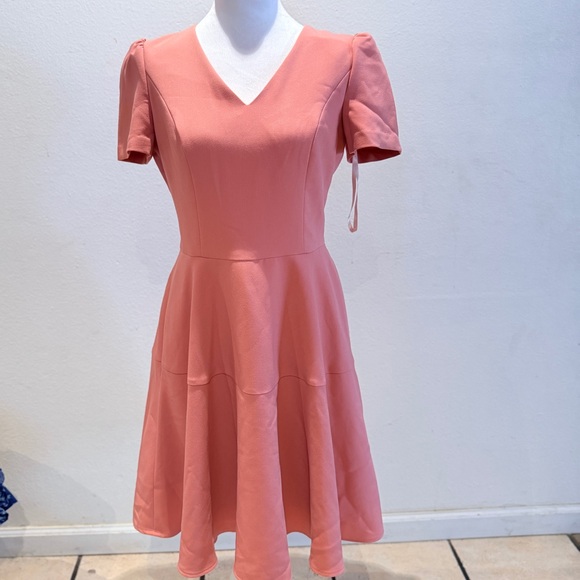 Dresses & Skirts - Gal Meets Glam Kate Pink Fit & Flare Dress Size 6 Feminine V-Neck Party